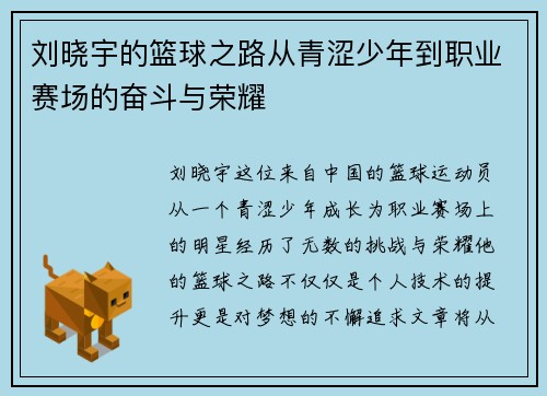 刘晓宇的篮球之路从青涩少年到职业赛场的奋斗与荣耀
