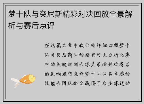 梦十队与突尼斯精彩对决回放全景解析与赛后点评