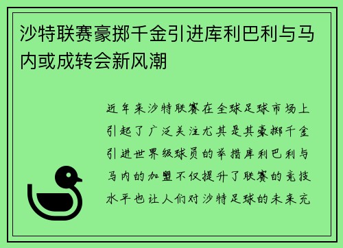沙特联赛豪掷千金引进库利巴利与马内或成转会新风潮